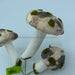 Mushroom Pick 11"  62053Nat - DecoExchange