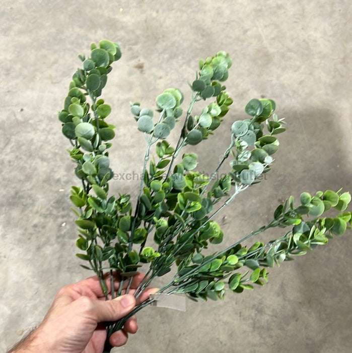 Pls Boxwood Bsh X8 Fsgrn 57822 Greenery