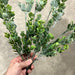 Pls Boxwood Bsh X8 Fsgrn 57822 Greenery