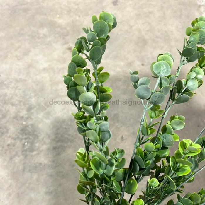 Pls Boxwood Bsh X8 Fsgrn 57822 Greenery